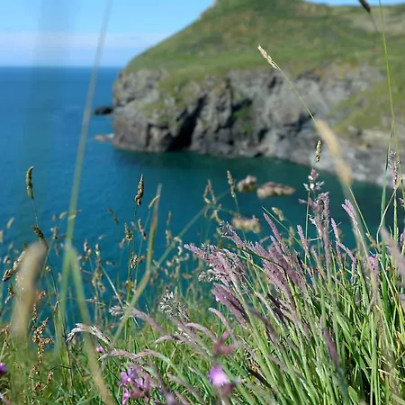 Tranquil Cornish Retreat Close To Port Isaac Beaches And Moor Holiday home Bodmin
